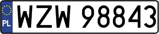 WZW98843