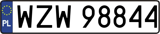 WZW98844