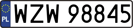 WZW98845