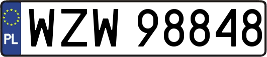 WZW98848