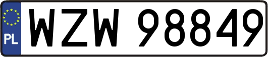 WZW98849
