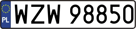 WZW98850
