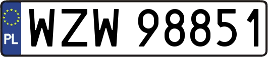 WZW98851