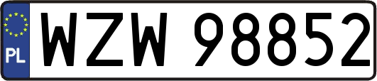 WZW98852