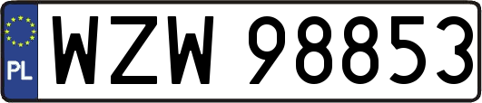 WZW98853