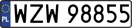 WZW98855
