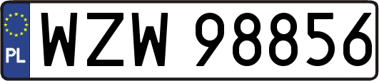 WZW98856