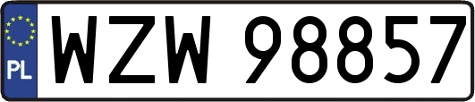 WZW98857