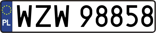 WZW98858