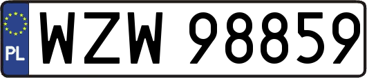 WZW98859