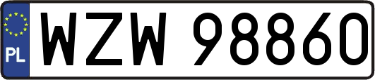 WZW98860
