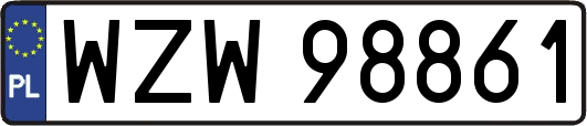 WZW98861