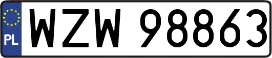 WZW98863