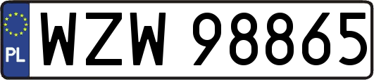 WZW98865