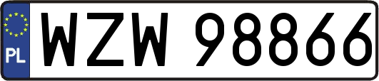 WZW98866
