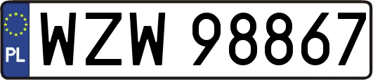 WZW98867