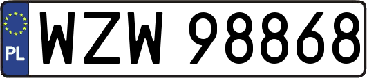 WZW98868