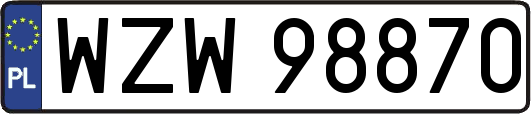 WZW98870