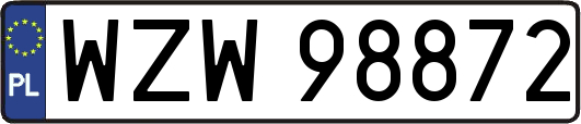 WZW98872
