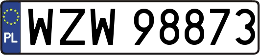 WZW98873