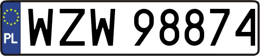 WZW98874