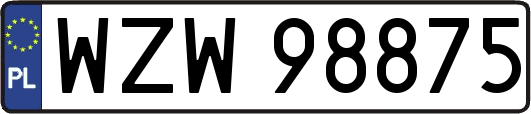 WZW98875