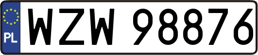 WZW98876