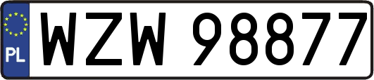 WZW98877