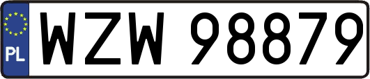 WZW98879
