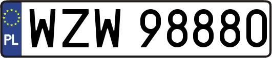 WZW98880