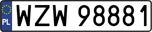 WZW98881