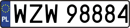 WZW98884