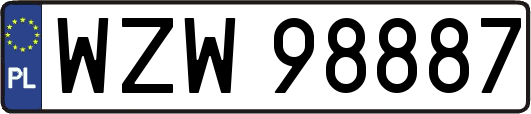 WZW98887