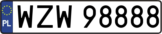 WZW98888