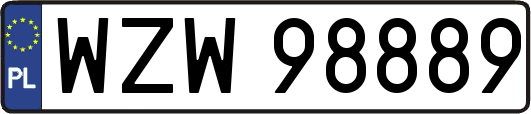 WZW98889
