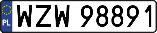 WZW98891