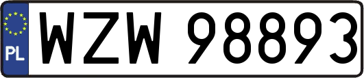 WZW98893