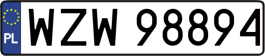 WZW98894