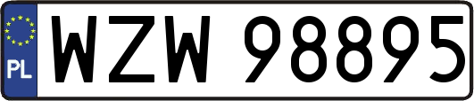 WZW98895