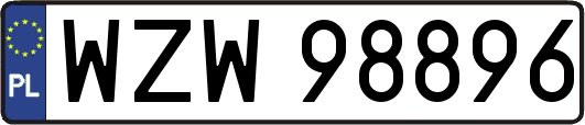 WZW98896