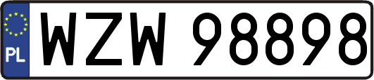 WZW98898