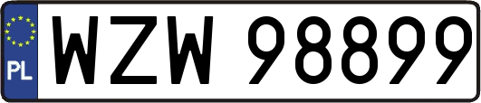 WZW98899