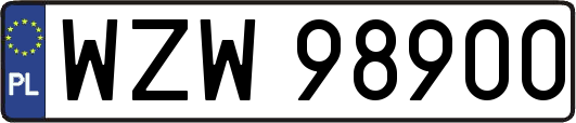 WZW98900