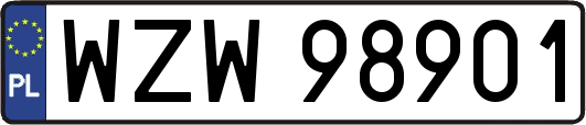 WZW98901
