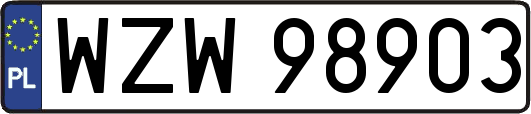 WZW98903