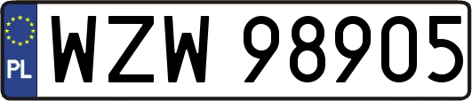 WZW98905