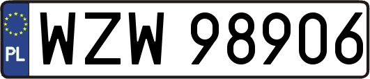 WZW98906