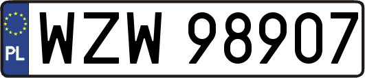 WZW98907