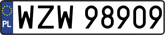 WZW98909