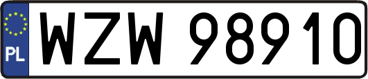 WZW98910